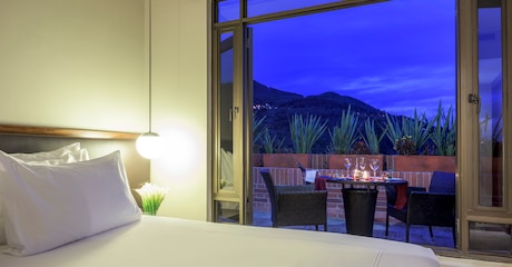 Room Junior Suite met Terras